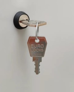 Szafka śniadaniowa  wisząca  10 skrytek  SUS 225  – 430 mm                                                                             kolor : RAL 7035 – jasnoszary #2
