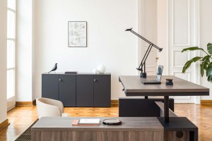 mito-cabinet-psr-3.jpg