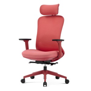 Fizjo red.jpg