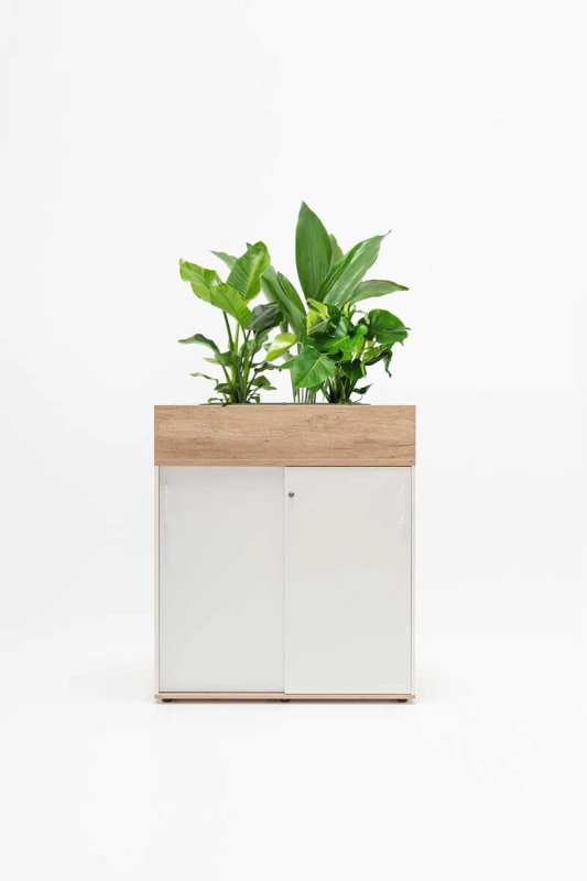 storage-d-4_2.jpg